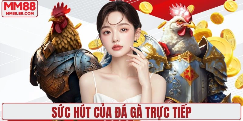 Sức hút của đá gà trực tiếp